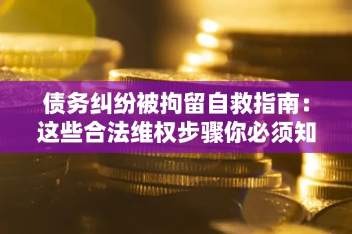 武汉债务纠纷被拘留自救指南：这些合法维权步骤你必须知道！