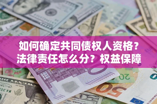 武汉如何确定共同债权人资格？法律责任怎么分？权益保障技巧揭秘！