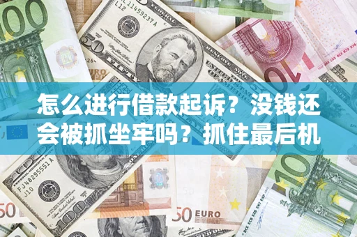 武汉怎么进行借款起诉？没钱还会被抓坐牢吗？抓住最后机会！
