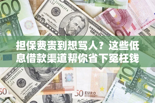 武汉担保费贵到想骂人？这些低息借款渠道帮你省下冤枉钱