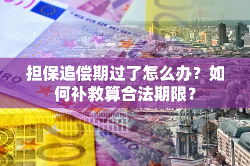 武汉担保追偿期过了怎么办？如何补救算合法期限？