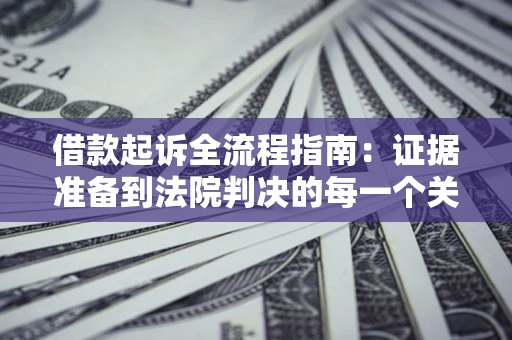 武汉借款起诉全流程指南：证据准备到法院判决的每一个关键步骤