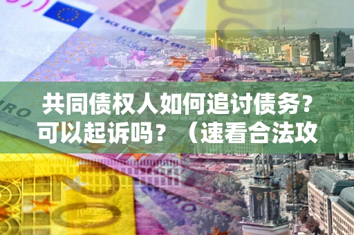 武汉共同债权人如何追讨债务？可以起诉吗？（速看合法攻略）