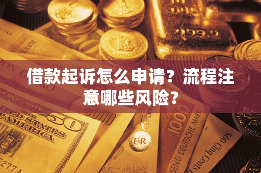 武汉借款起诉怎么申请？流程注意哪些风险？